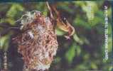 # KOREA MO9701102 Durian Redstart 3000 Autelca 01.97 -oiseaux,birds- Tres Bon Etat - Corea Del Sur
