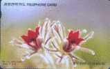 # KOREA MO9701101 Windflower 2000 Autelca 01.97 -fleurs,flowers- Tres Bon Etat - Corée Du Sud