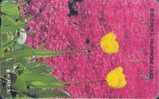 # KOREA MO9610138 Tulip 2000 Autelca 10.96  -flowers,fleurs- Tres Bon Etat - Korea, South