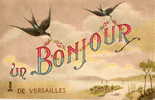 VERSAILLES (78) Carte Fantaisie Bonjour De - Versailles