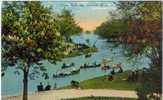 DETROIT MICHIGAN Belle Isle Lagoon MULTIPLE ROW BOATS Rowers ONLOOKERS C--1910 - Autres & Non Classés