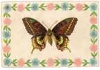 CPA PAPILLON ET FLEURS - GAUFFREE - Schmetterlinge