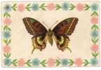 CPA PAPILLON ET FLEURS - GAUFFREE - Mariposas