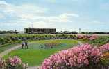 Sunken Gardens Jardins - Nouvelle Écosse Nova Scotia - Non Circulée - Unused - Otros & Sin Clasificación