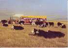 Coombes Farm Tours Lancing Sussex Shoreham By Sea - Traktoren