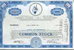 LOTTO 3 CERTIFICATI AZIONARI COMMON STOCK WILSHIRE OIL COMPANY TEXAS 1968 - Aardolie