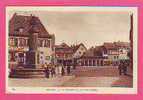 HAGUENEAU   La Fontaine Et La Place D'armes  VETEMENTS ST REMY-  PHARMACIE  CAFE - Haguenau