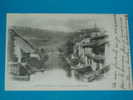 25) Saint-hippolyte - Tannerie Sur Le Dessonbre - Année 1901 - EDIT - Bergeret - Saint Hippolyte