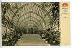 Parc Royal De Laeken - Les Serres - L'Escalier Embarcadère - Ed. Vanderauwera & Cie - Bosques, Parques, Jardines