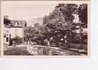 65.200 / ARGELES GAZOST - Avenue De La Gare(cpsm N°6) - Argeles Gazost