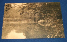 Forêt De Soignes - Etang Des Enfants Noyés  -  1912 - Bossen, Parken, Tuinen