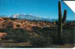 ARGENTINA  100  U  CACTUS   &  MOUNTAINS  SKYLINE  EARLY  CARD  URMET  SPECIAL PRICE  !!! READ DESCRIPTION !! - Argentine