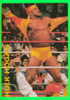 LUTTE - CATCH - WRESTLING - HULK HOGAN - WCW/NWO - WWE - - Lucha