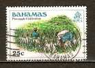 Bahamas 1980  25c  (o)  Pineapple Cultivation - Bahama's (1973-...)