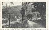 MALMEDY- PAYSAGE A BEVERCE- VERS LA FERME LIBERT - Malmedy