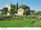 KOLOSSI CASTLE. - Cyprus