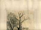 - PAYSAGE AVEC UNE FEMME ASSISE SOUS UN ARBRE, ET UNE MAISON . DESSIN AU CRAYON SIGNE , MONOGRAMME ET DATE 1901 - Drawings