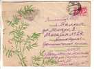 GOOD USSR / RUSSIA Postal Cover 1967 - Plant - Brieven En Documenten