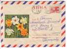 GOOD USSR / RUSSIA Postal Cover 1969 - Flowers - Covers & Documents