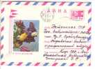 GOOD USSR / RUSSIA Postal Cover 1970 - Flowers - Storia Postale