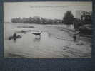 CPA 29-FOUESNANT-L´ANSE DU CAP COZ-VACHE DANS L´EAU-VIERGE- - Fouesnant