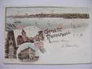 Gruss Aus Radolfzell  Litho Postally Used 1898 - Radolfzell