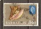 Barbados  1965  Marine Life  $1.00  (o) - Barbades (...-1966)