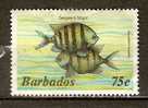 Barbados  1985  Marine Life  75c  (o) - Barbades (1966-...)