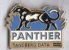 Panther Tanderg Data - Computers