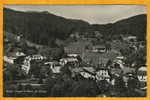 SAINT CERGUES Et Route De France- Suisse - N° 8981 Photo Edition Deriaz Circulée En 1950 - Saint-Cergue