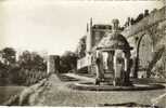 CPSM CHATILLON COLLIGNY (Loiret) - Le Vieux Puits Sculpté Par Jean Goujon , Terrasse Du Chateau - Chatillon Coligny