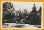 VILLINGEN - Allemagne - N°345 - Jardin Public - Edit Breuil Villingen Animée Carte Photo écrite En 1948 Poste Aux Armées - Villingen - Schwenningen