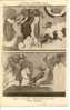 Cp 86 SAINT SAVIN Sur GARTEMPE Peinture Du XII S De L'église Abbatiale , Scène Apoclypse Délivrance Des Quatre Anges - Saint Savin