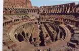 Italie - Roma - Interno Colosseo - Colisée