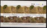 URUGUAY Spider Exotic Web MNH Block Of 6 Stamp Sheet Allocosa Brasiliensis Argiope Argentata - Arañas