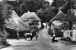 COCKINGTON FORGE,TORQUAY....CPSM GRAND FORMAT ANIMEE - Torquay