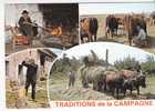 TRADITIONS De La CAMPAGNE   -  4 Vues  :  VEILLEE  Au CANTOU  - TRAITE Au PARC  - Le BUCHERON -  La FENAISON   . - Farms