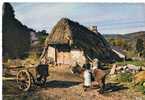 CPM   AUVERGNE       VIEUX BURON AU TOIT DE CHAUME   1963   ANE QUI PORTE BIDON DE LAIT - Haute-Normandie