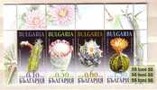 Bulgaria / Bulgarie 2009  Cactusses  4v. -  MNH - Sukkulenten