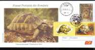 Tortues,Lynx  2009 FDC,stamp On Cover + Label,obliteration Concordante,uprated,entie R Postaux -Romania. - Schildkröten