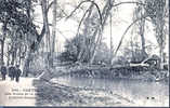 CRETEIL- LES BORDS DE LA MARNE L'ARBRE PENCHE - Creteil