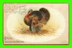 CORDIAL THANKSGIVING GREETINGS - TURKEY - EMBOSSED - TRAVEL IN 1907 - INTERNATIONAL ART PUBL. CO. - - Giorno Del Ringraziamento