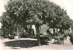 GASSIN Var 83 : Lot 3 Cp Place Et Terrasse Du Restaurant BELLO VISTO + Vieux Clocher + Vue Aérienne 1956 - Ramatuelle