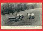 LIANCOURT PUBLICITE ETABLISSEMENT BAJAC VENTE SEMOIR EN LIGNES ET HERSE ECROUTEUSE EMOTTEUSE CARTE EN BON ETAT - Landwirtschaftl. Anbau