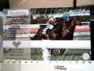 CAVALLO HORSE MELBOURNE CUP DAY  CORSA  FANTINI BEST DRESSED COUPLE COMPETITION VB2008  CC5666 - Hippisme