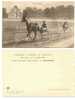 Faenza - Campionato Europeo 1911 - Babau - Corse - Trotto - HP223 - Hippisme