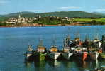 , Castropol,    (Asturias)   VUE PARTIELLE  Bateaux De Pêche  CP M Grd Format Année  1966   X - Asturias (Oviedo)