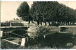 18 - CPSM Aubigny-sur-Nère - Vue Sur La Nère - Aubigny Sur Nere