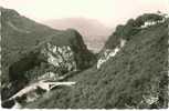 YENNE Savoie 73 : Le Rhône Au Pont De La Balme Et Le Fort De Pierre Chatel 1956 - Yenne