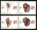 1991 MACAO S44 SHELLS 4V - Unused Stamps